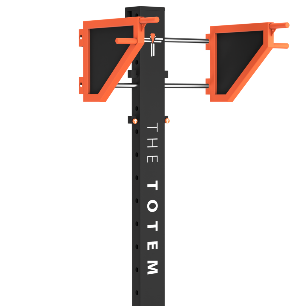 the totem black